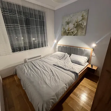 Diamond Grey Titova * Zlatibor