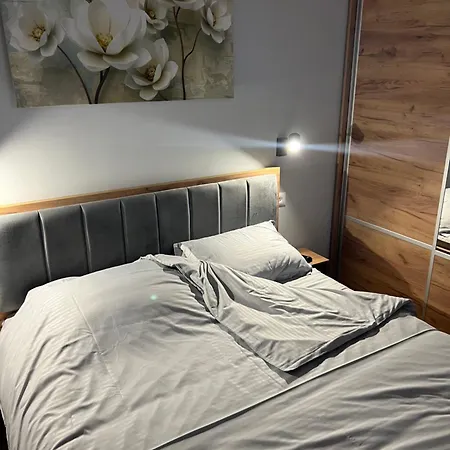 Diamond Grey Titova * זלאטיבור