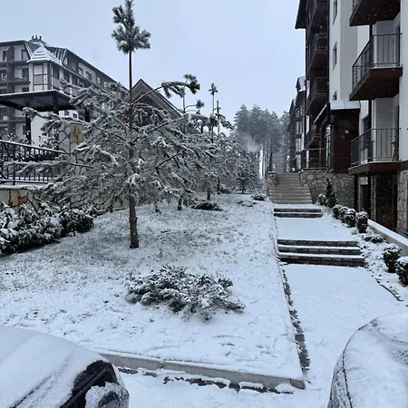 Diamond Grey Titova *