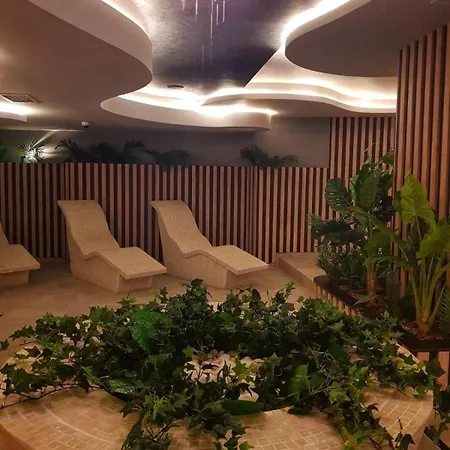 Diamond Grey Titova 아파트 *