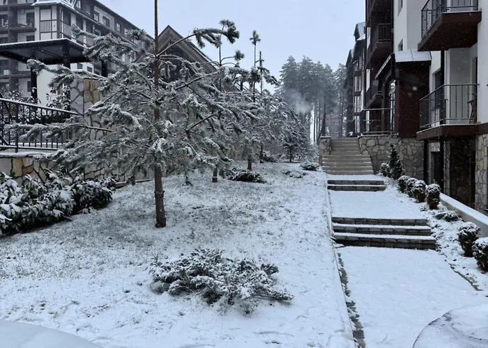 Diamond Grey Titova *