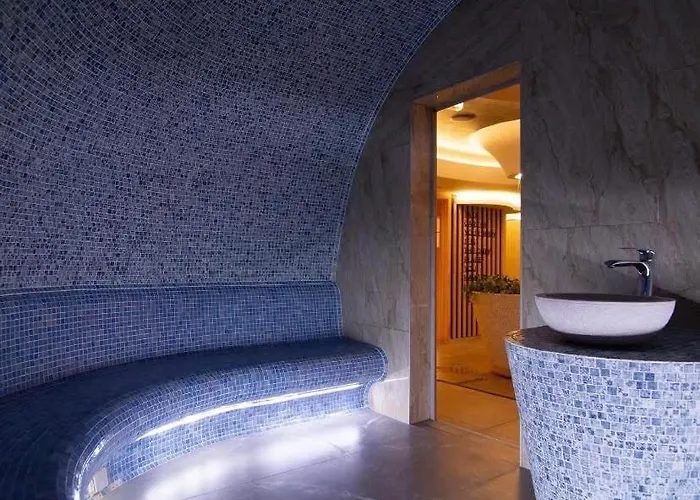 Diamond Grey Titova * 兹拉蒂博尔